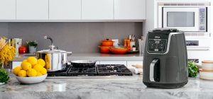 ninja-air-fryer-max-xl-review