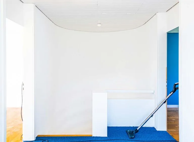 best-vacuum-cleaner-2025-reddit